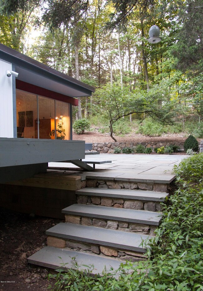 Rear Steps