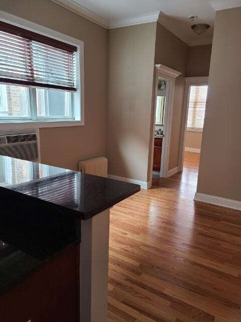 127 W 1st St unit 4, Elmhurst, IL 60126 - photo 3