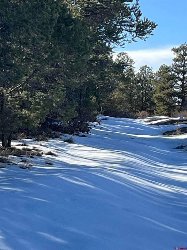 TBD Cottontail Ln, Ridgway, CO 81432 - photo 6