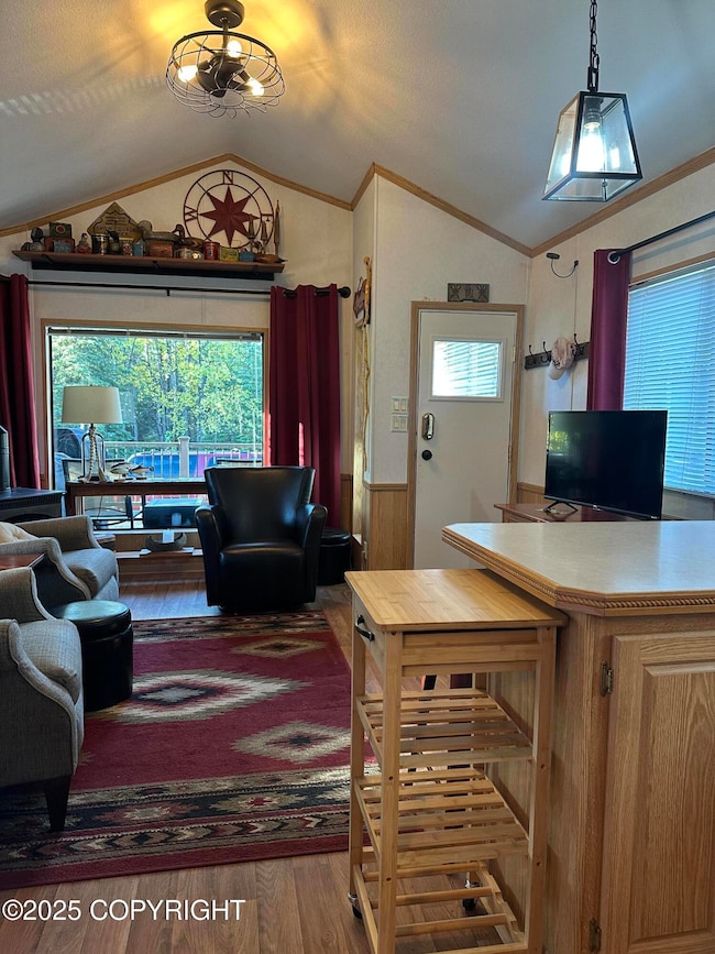 Kitchen to living area