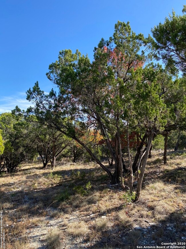 11314 Caliza Crescent, Boerne, TX 78006 - photo 5