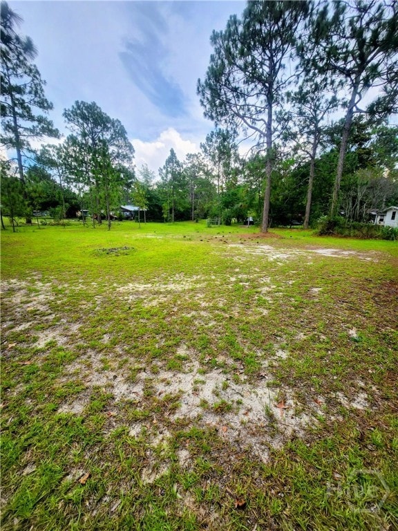 1133 Old Register Way, Statesboro, GA 30458 - photo 7