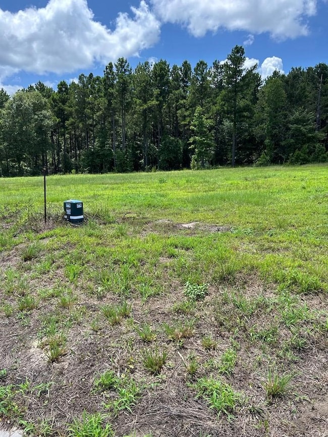 R143742 (Lot19) Dena Kay Dr, Lufkin, OK 74904 - photo 2