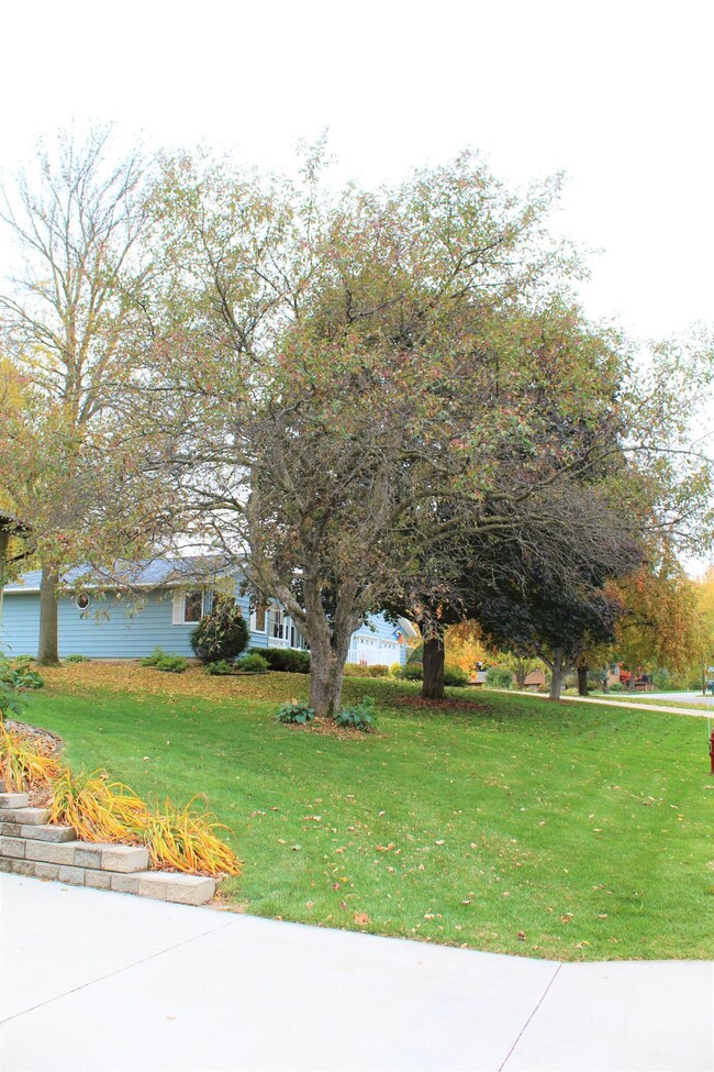 715 4th Ave NW, Plainview, MN 55964 - photo 7