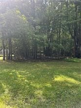 Section 14 Lot 24 Port-Au-prince Rd, Dubois Area School District, PA 15801 - photo 5