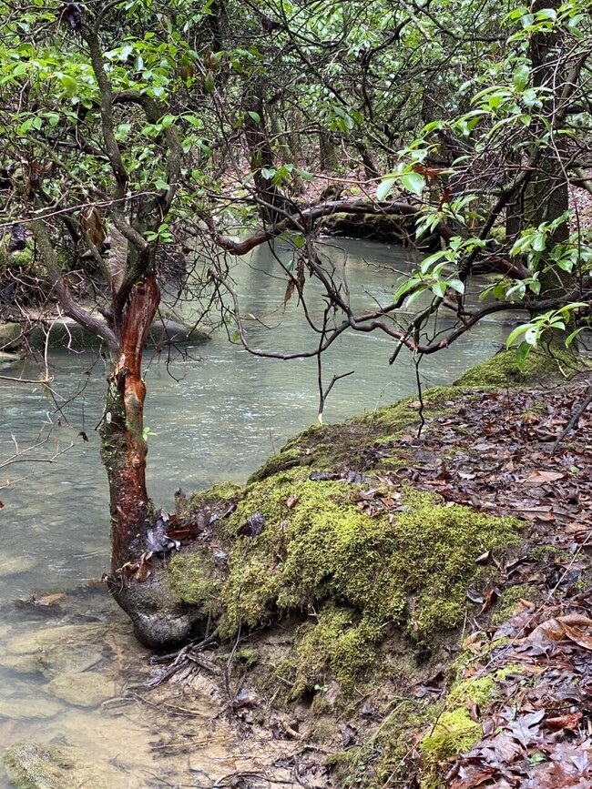 Lot 11 Thomas Springs Rd, Crossville, TN 38572 - photo 2