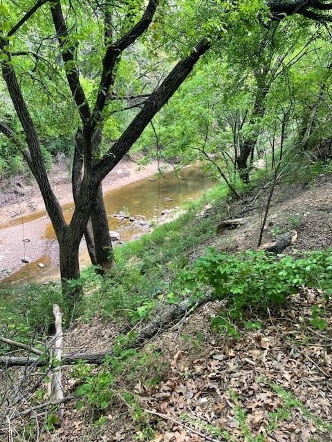 View of nature