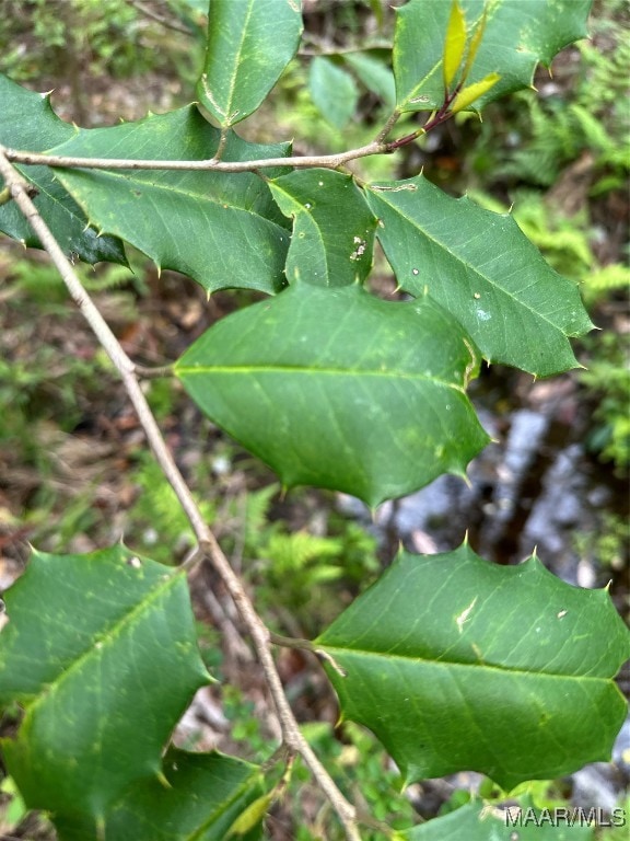 0 White Oak Dr unit 580881, Eufaula, AL 36027 - photo 6