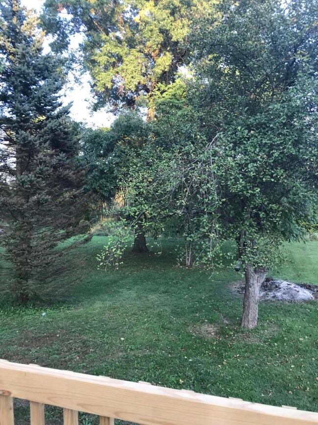 View from the Deck