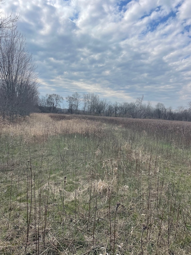 17444 Little Eagle Creek Ave, Westfield, IN 46074 - photo 3