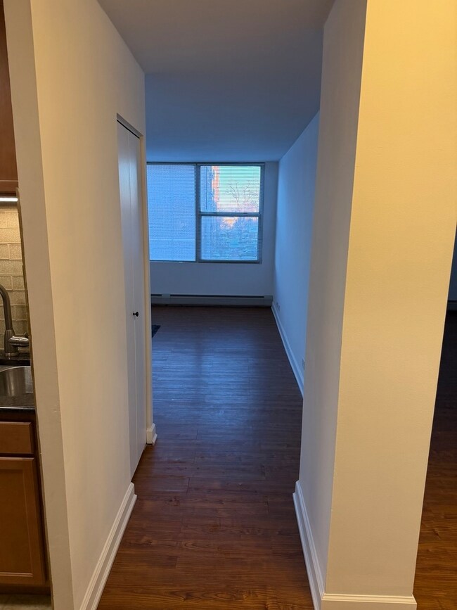 Lombard Tower unit 2E, Lombard, IL 60148 - photo 6