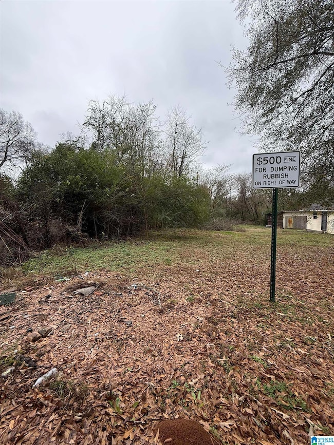 201 Nail St, Birmingham, AL 35228 - photo 2