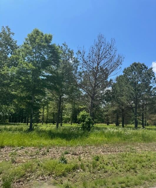 0 Locust Ln, Tupelo, MS 38801 - photo 3