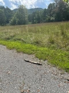 Tr 1 Rev Burch Cove Rd, Hayesville, NC 28904 - photo 3