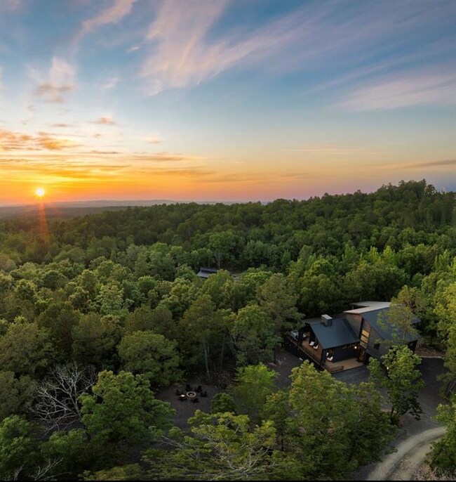 Drone / aerial view with a wooded view