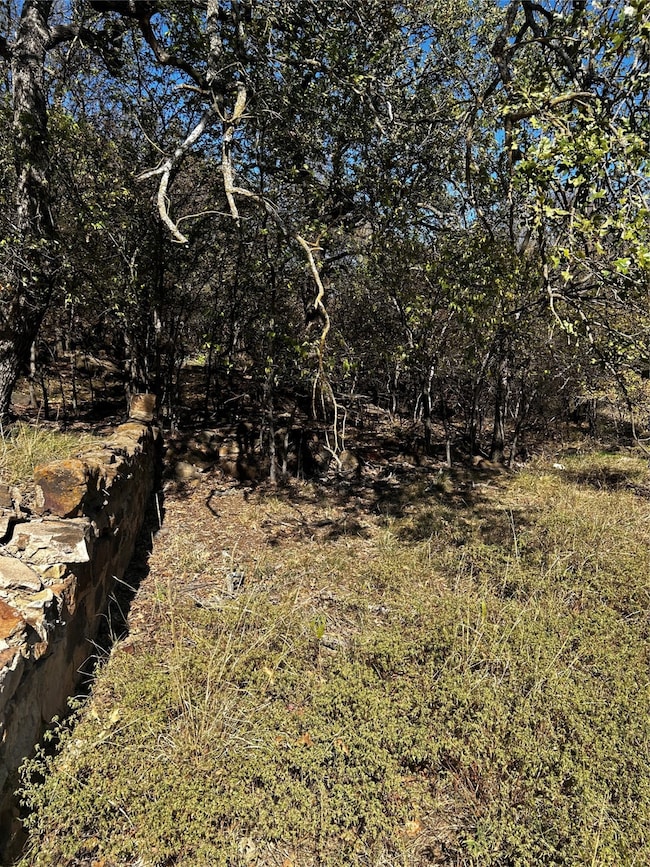 TBD NW 9th St, Mineral Wells, TX 76067 - photo 2