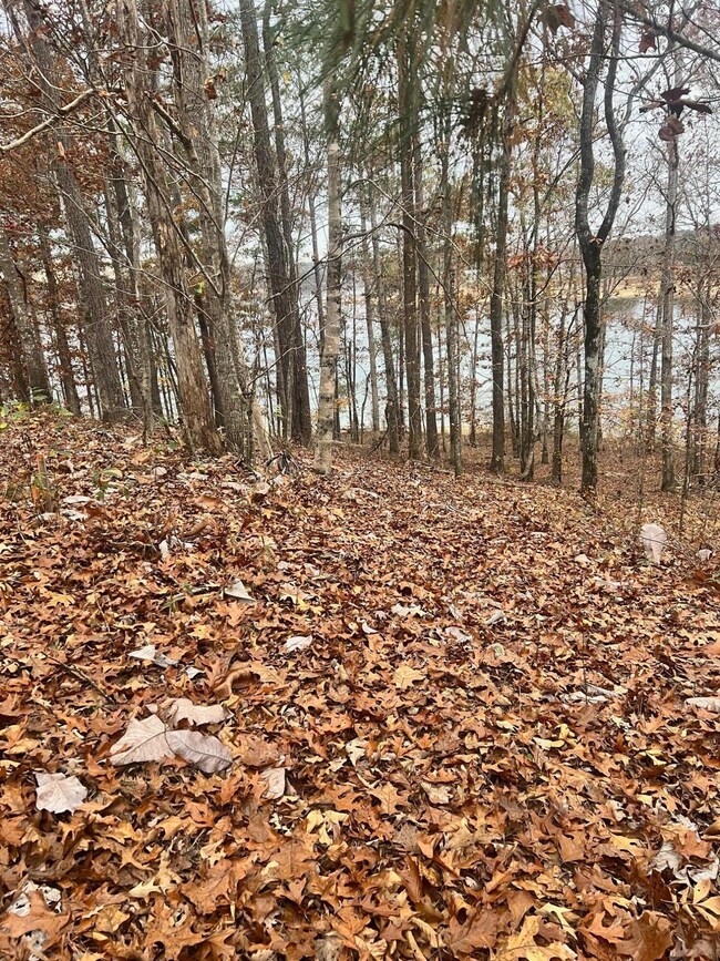 LOT 25 Lynnwood Estates Phase 2, Arley, AL 35541 - photo 4