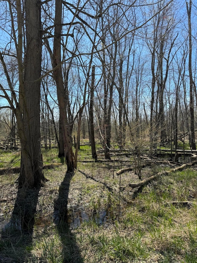 VL 18th Ave, Columbia Township, MI 49056 - photo 2