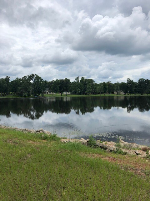 210 Fish Creek Thoroughfare, Montgomery, TX 77316 - photo 6