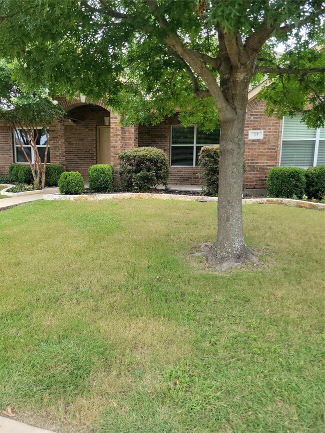 115 Shadybrook Dr, Wylie, TX 75098 - photo 2