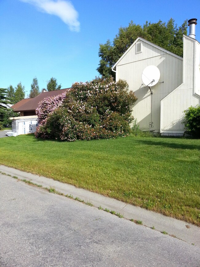 Lush Landscaping