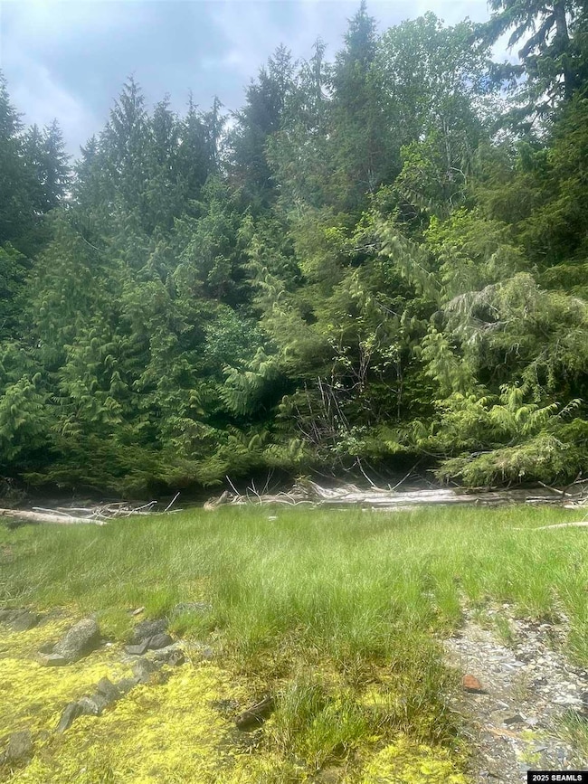 NHN Legal Address Only unit Lot 2 Block 1, Ketchikan, AK 99901 - photo 4