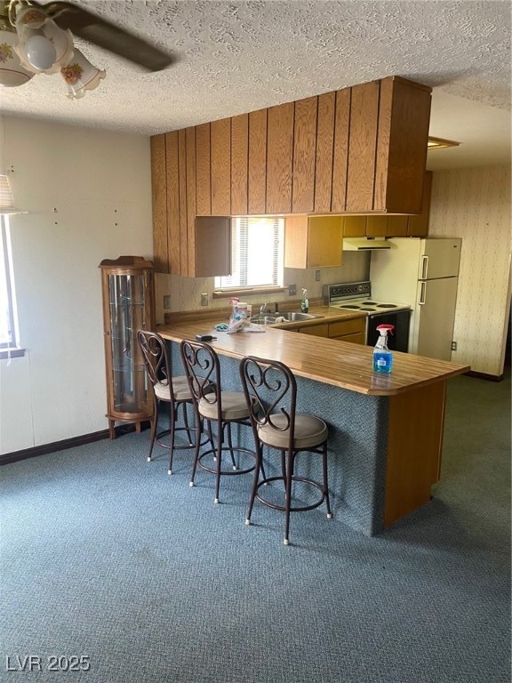 Kitchen featuring stove, ventilation hood, a sink,