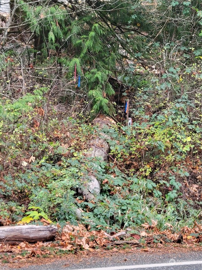 5376 Reese Hill Rd, Sumas, WA 98295 - photo 4