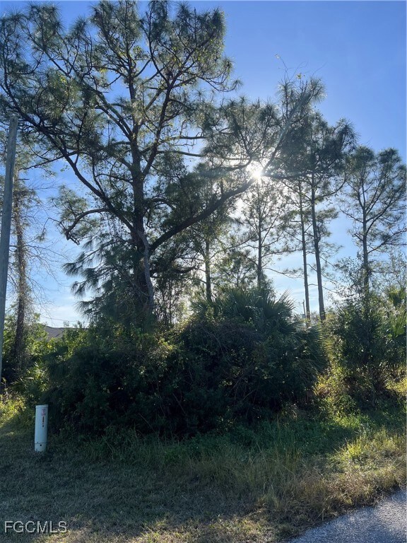 900 E 9th St, Lehigh Acres, FL 33972 - photo 3