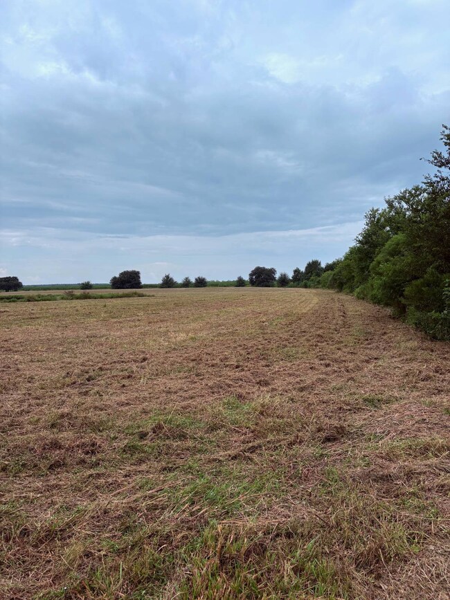 3500 Blk N Riceland Rd unit Tracts A/B, Rayne, LA 70578 - photo 6