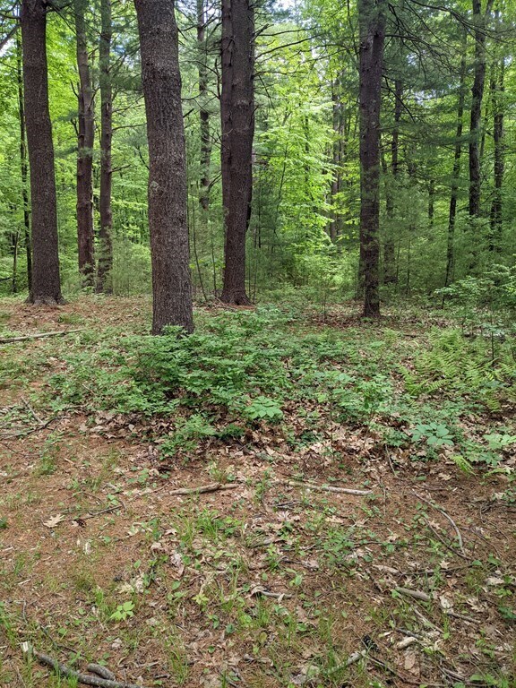 0-1 Chapin Rd, Holden, MA 01520 - photo 4