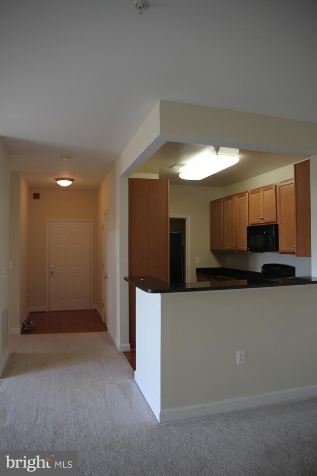 6161 Willow Place unit 302, Bealeton, VA 22712 - photo 2