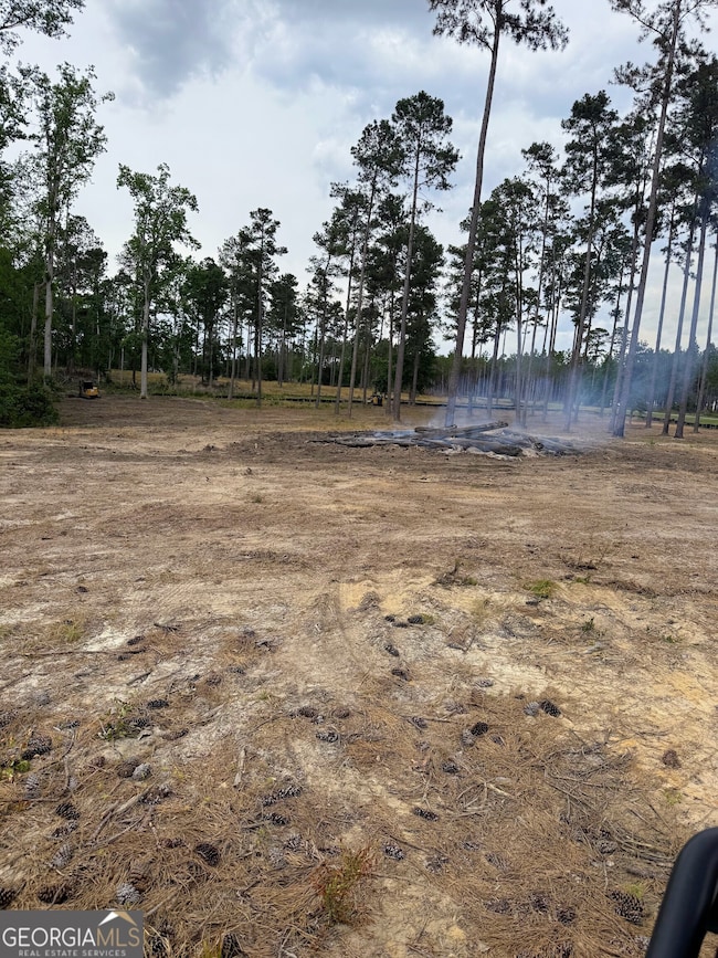 0 E Lake Dr unit 10568706, Statesboro, GA 30458 - photo 5