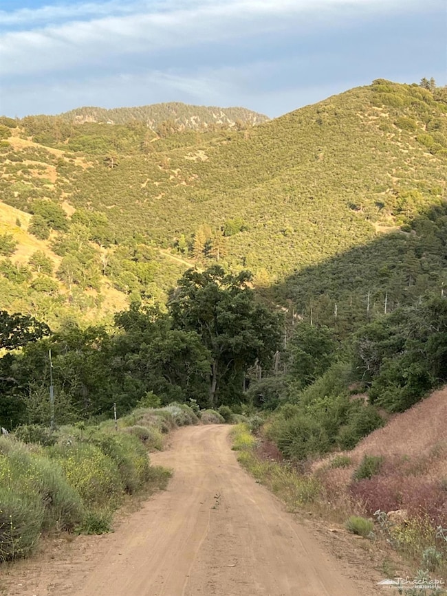 17401 St Moritz Dr, Tehachapi, CA 93561 - photo 2