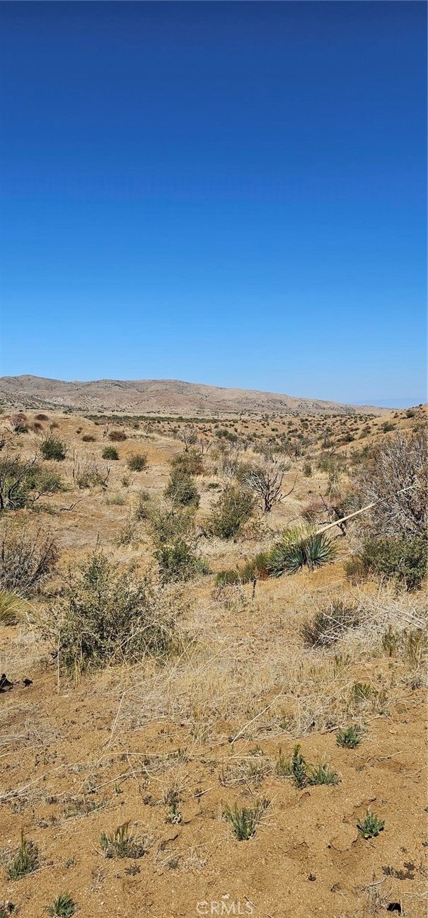 0 98th St E, Juniper Hills, CA 93543 - photo 4