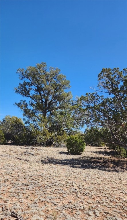 Lot B Roaming Way, Seligman, AZ 86337 - photo 7