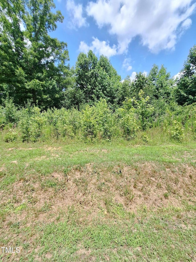 0 Carver St unit 10107506, Franklinton, NC 27525 - photo 4