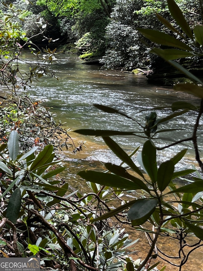 105 Chinquapin Ln, Clarkesville, GA 30523 - photo 5