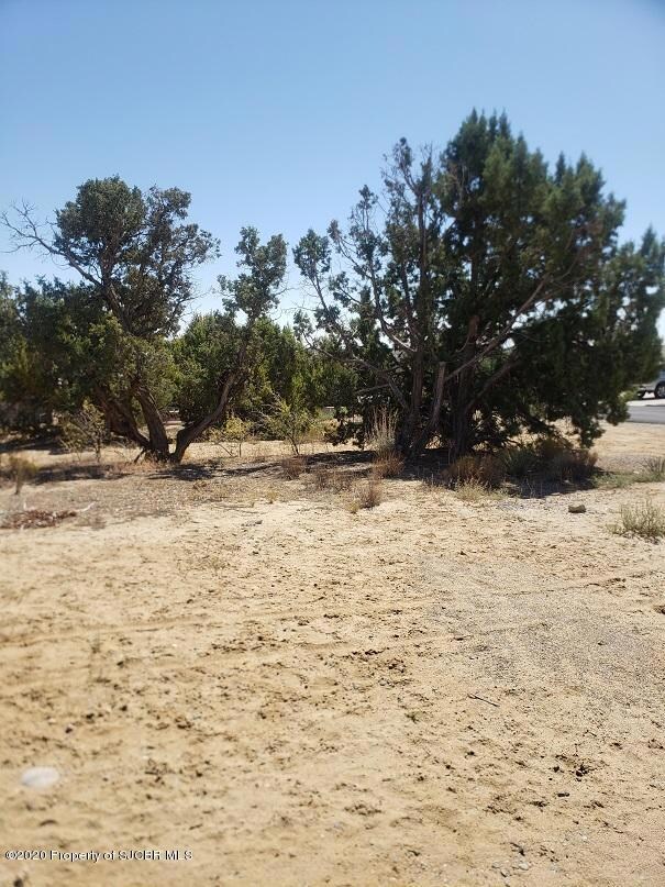 6330 Bunker Ct, Farmington, NM 87402 - photo 3