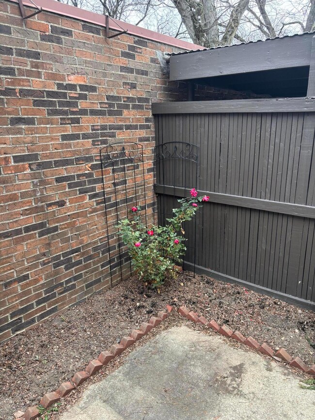 Patio 2