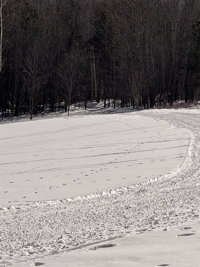 813 Plunkton Rd, Warren, VT 05674 - photo 7