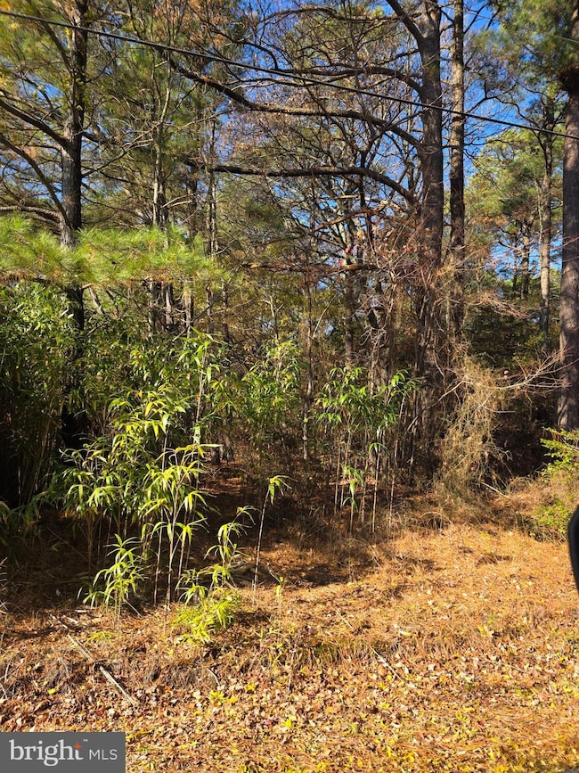 0 Roland Parks Rd unit MDSO2006658, Chance, MD 21821 - photo 3