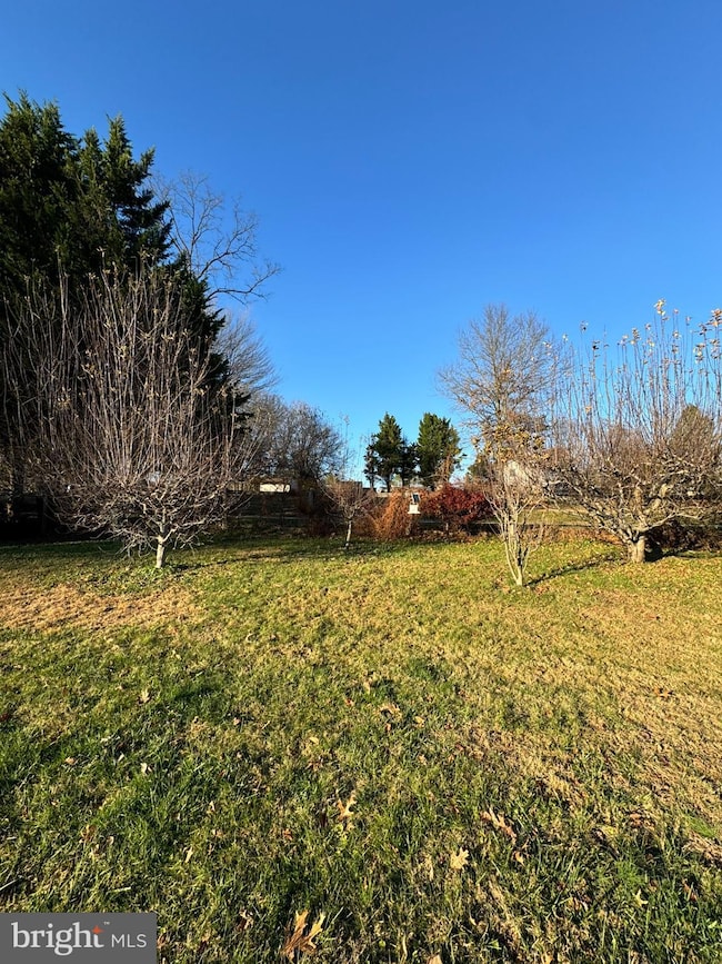 91 Mountain Rd, Rising Sun, MD 21911 - photo 5