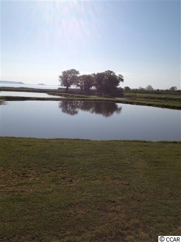 43 Pheasant Loop unit 301 Belle Isle Villa, Georgetown, SC 29440 - photo 6