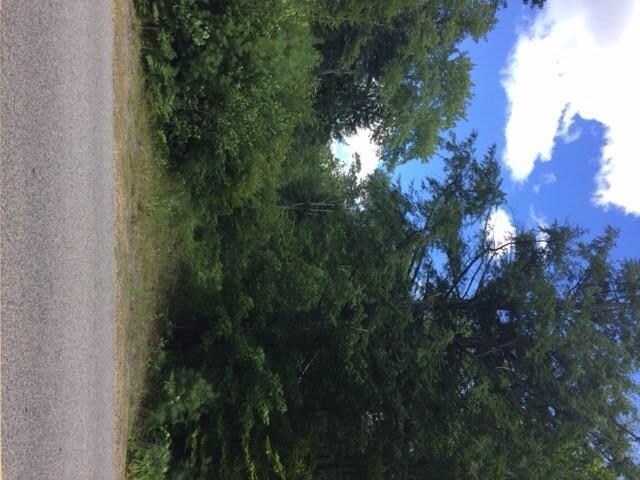 0 Long Swamp Rd unit 1241364, Berwick, ME 03901 - photo 4