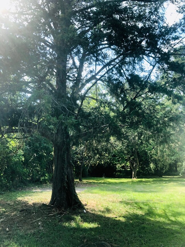 831 W Main St, Uvalda, GA 30473 - photo 7