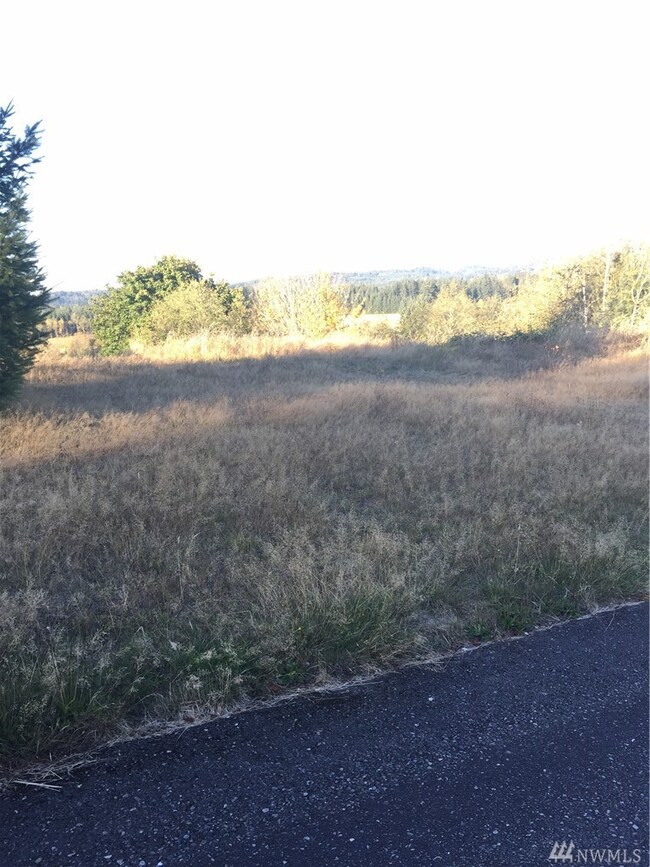 0 Mitchell unit 1208157, Napavine, WA 98565 - photo 5