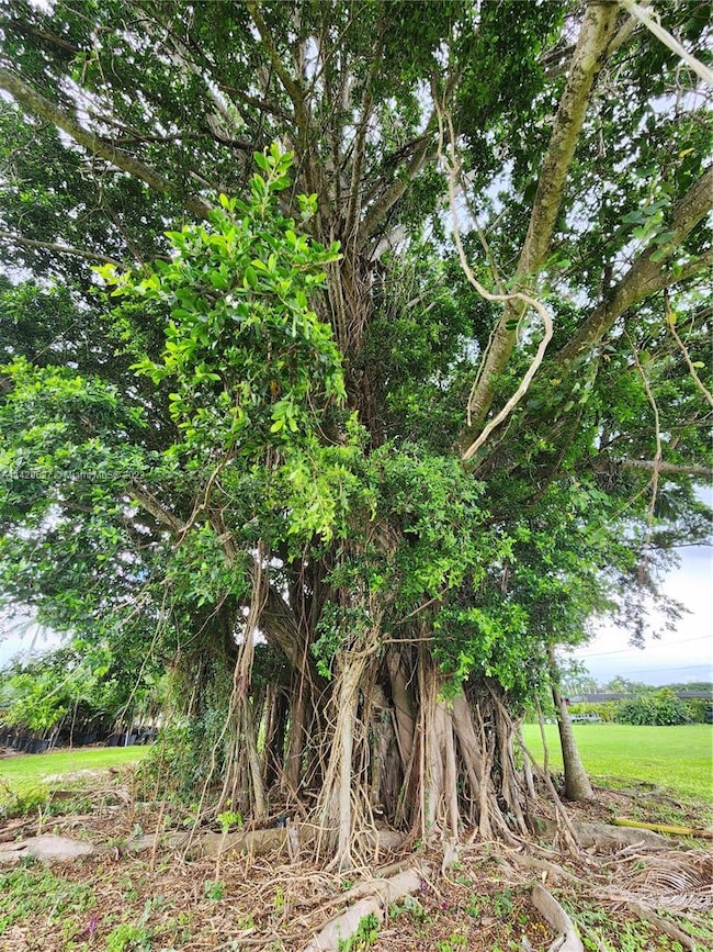 24425 SW 157th Ave, Homestead, FL 33031 - photo 7