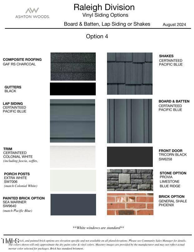 Color Scheme Option 4