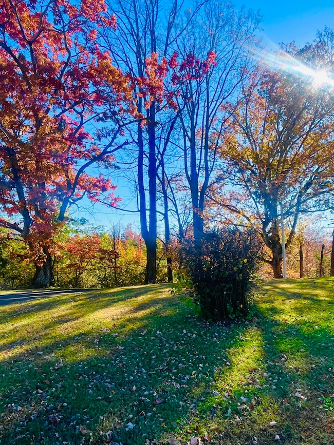 11713 Hardy Rd, Hardy, VA 24101 - photo 7